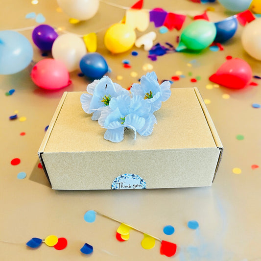 SURPRISE BOX 🥳/CAJITA SORPRESA 🎉